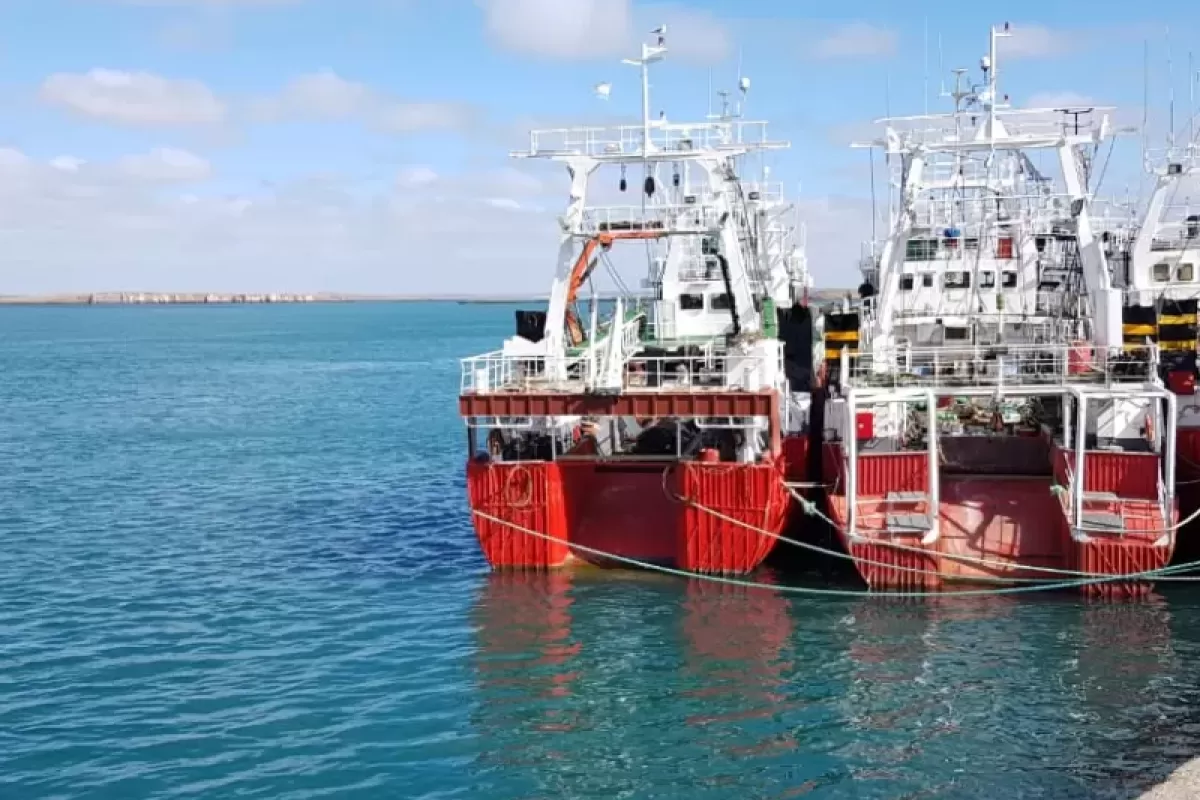 Fiscalía ordena unificar causas de coimas en la pesca y rechazar competencia local