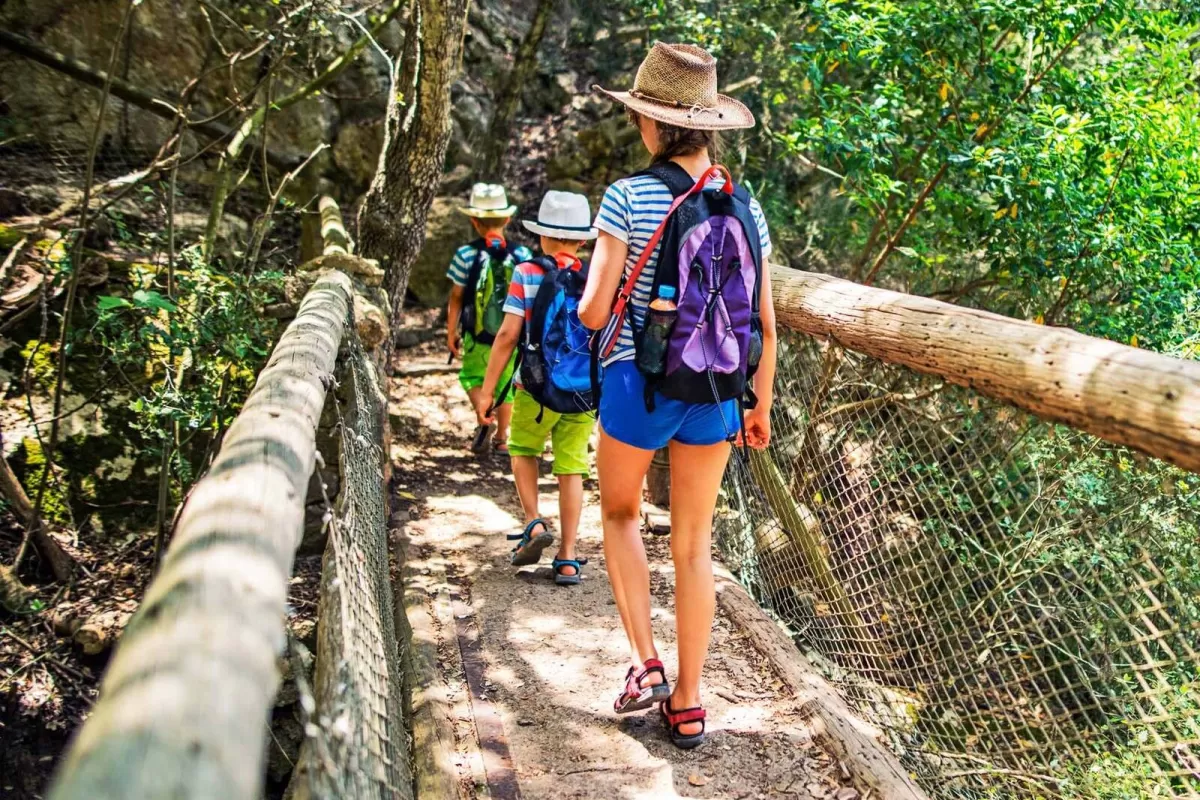 Jungle Travel impulsa el turismo a Misiones con paquetes turísticos integrales