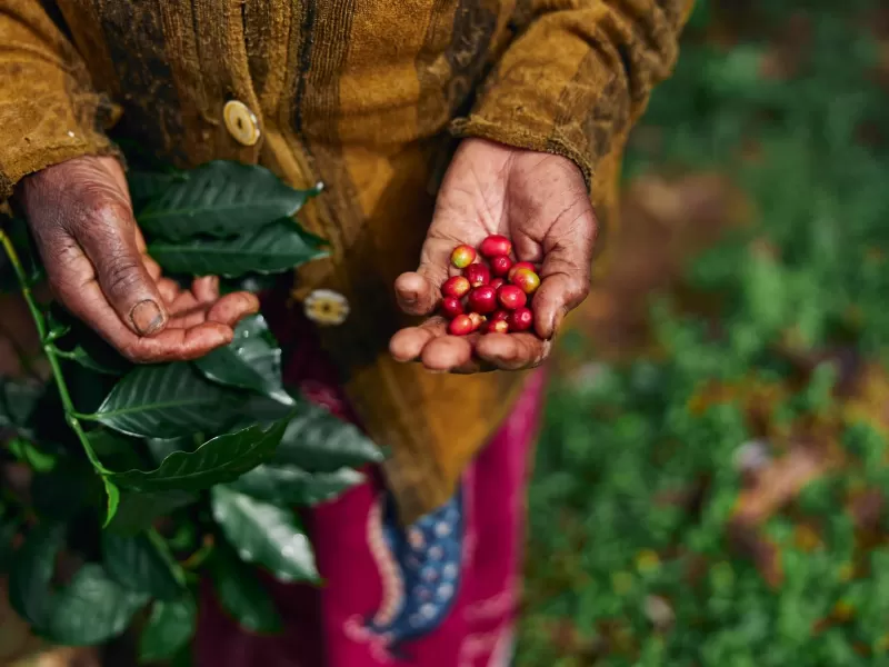 VIDEO | Liderazgo con propósito: Colombia avanza en el emprendimiento femenino y consolida programas para cerrar desigualdades